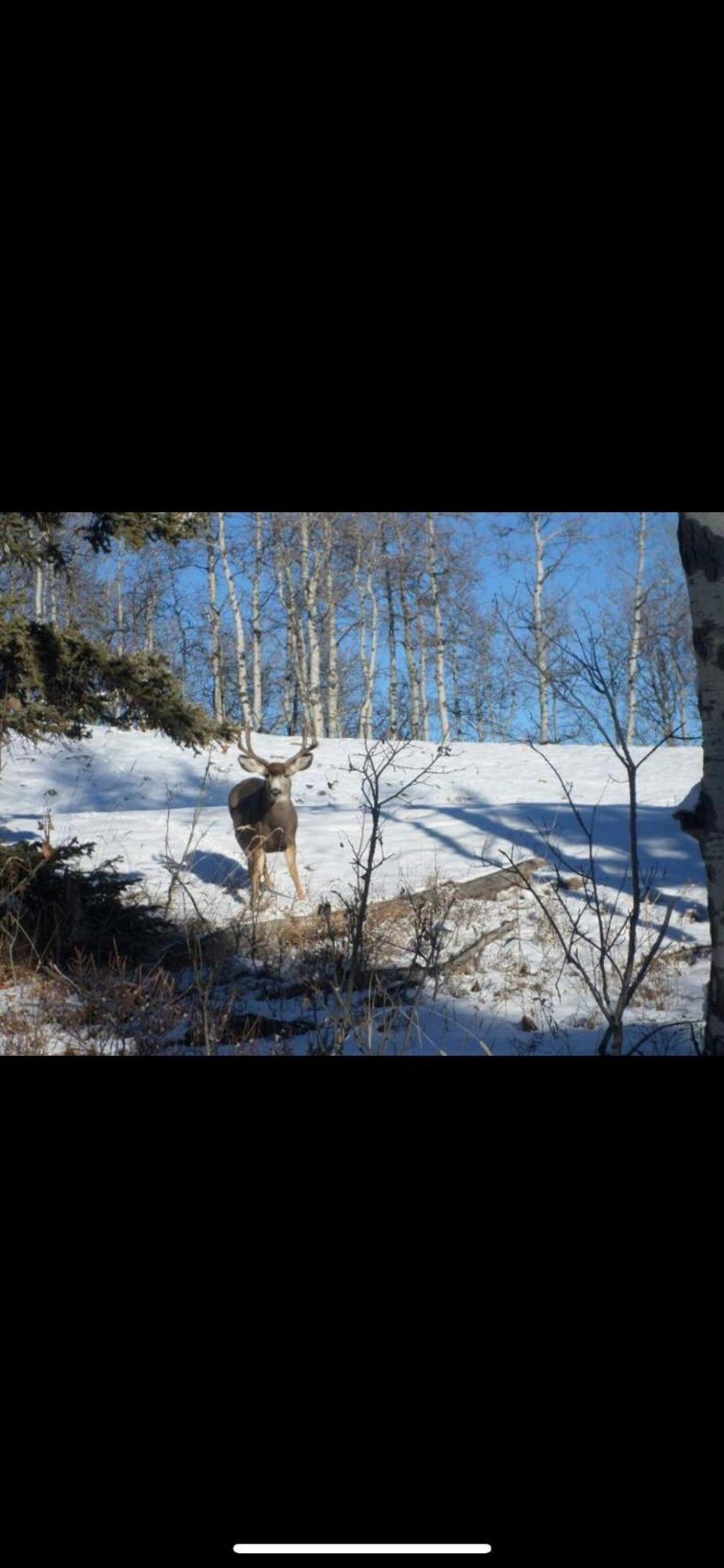 Heart West Haven Villa Priddis Екстериор снимка